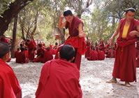 Tibet Festival Tours